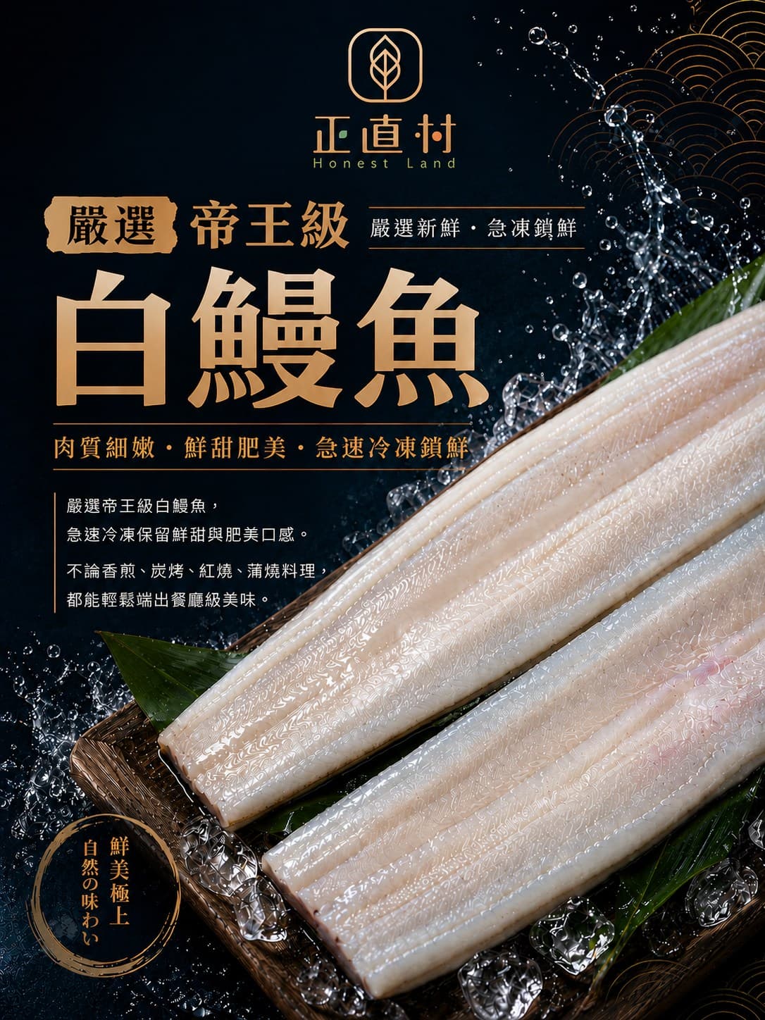 帝王級白鰻魚